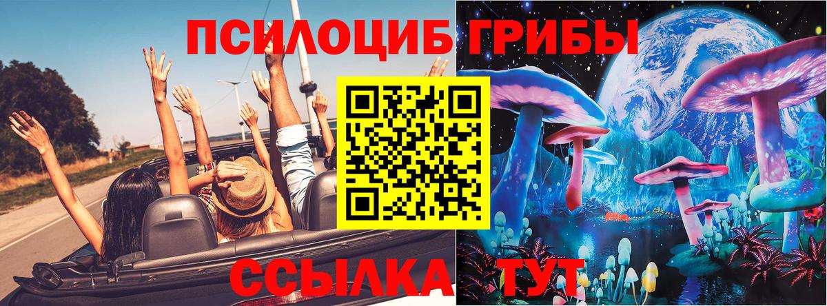 Галлюциногенные грибы Psilocybine cubensis Ликино-Дулёво